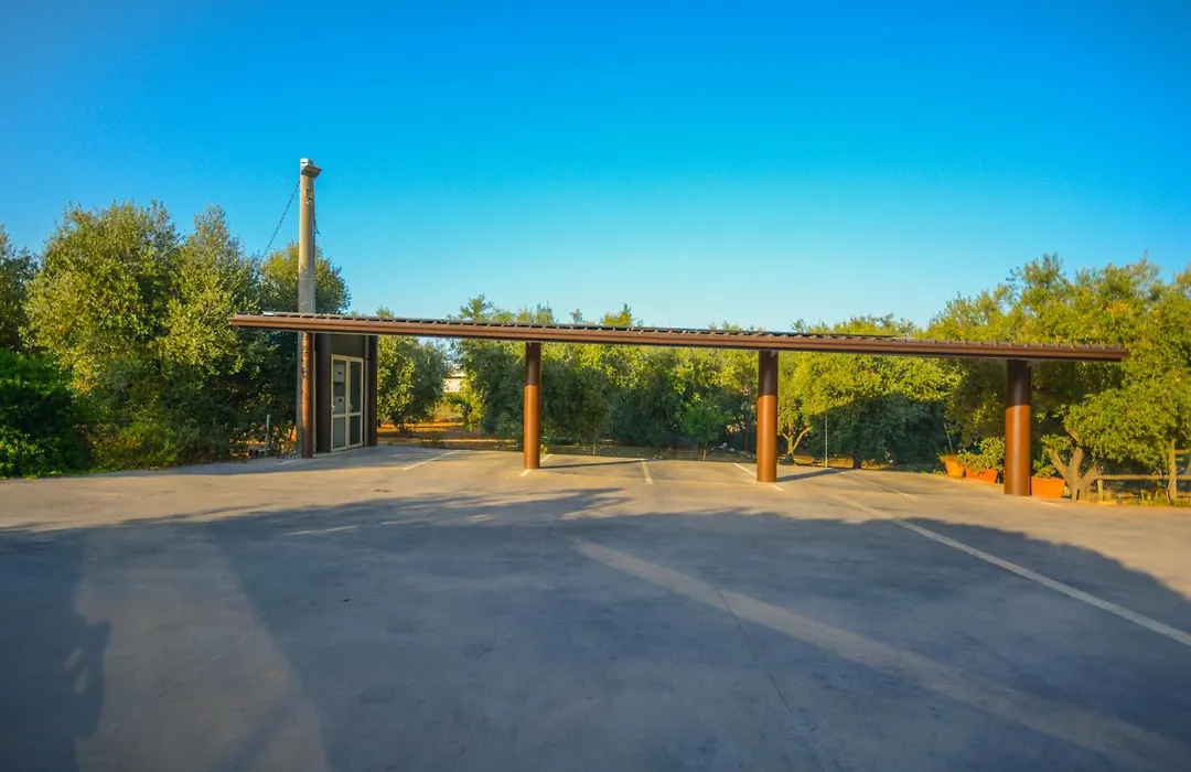 Il Gallo Con Gli Stivali-1
