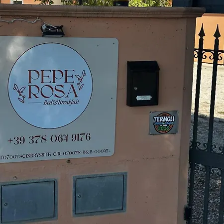 Pepe Rosa-2