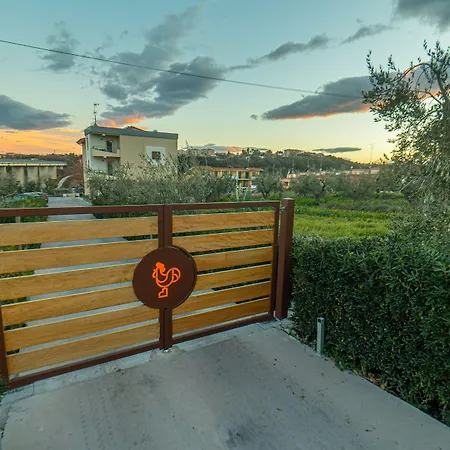 Il Gallo Con Gli Stivali-3